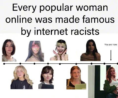 Every popular woman online was made famous by internet racists