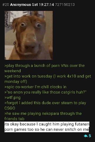 #20 Anonymous Sat 19:27:14 727150213 >play through a bunch of porn VNs over the weekend >get into work on tuesday work and get monday off) >spic co-worker chill clocks in >"so anon you really like tho