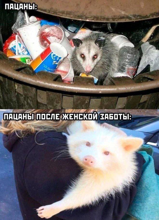 ПАЦАНЫ! 4) „ПАЦАНЫ ПОСЛЕ. ЖЕНСКОЙ ЗАБОТЫ: a