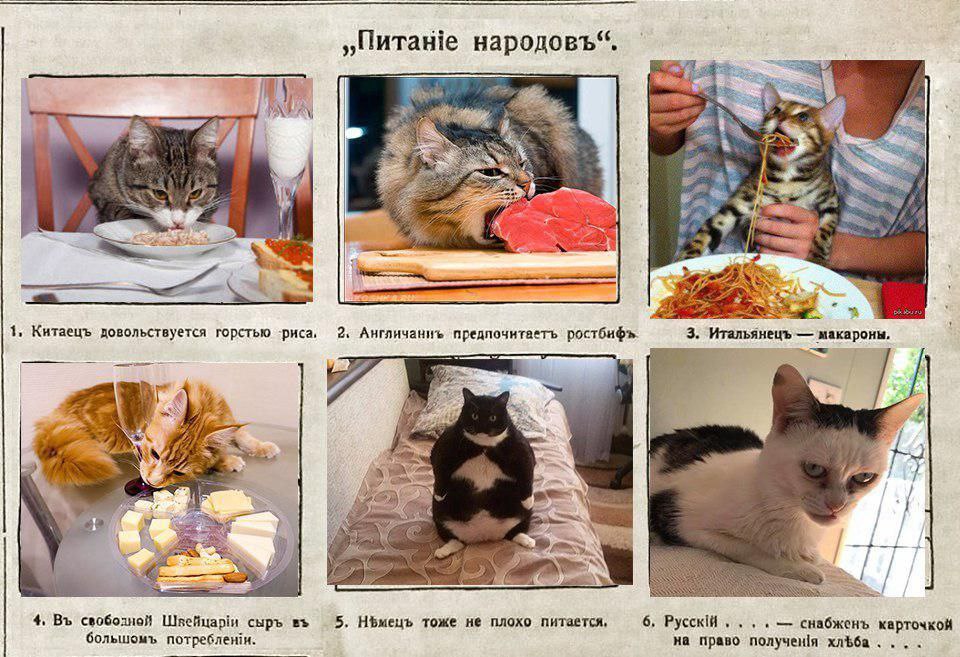 „Питаше народовъ“. 4 a i 1, Китаецъ довольствуется горстью ‘риса, 2. Англичаниь 3. Итальянецъ макароны, я AGF А 3 к My 7 4, свободной Швейцари cups 5. тоже не плохо питается, 6, снабжень карточкой бол
