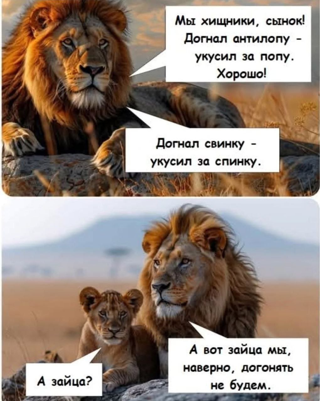 Мы хищники, сынок! Догнал антилопу укусил за попу. Хорошо! a Догнал свинку укусил за спинку. А вот зайца мы, наверно, догонять не будем.