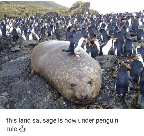 и. 71 this land sausage is now under penguin rule