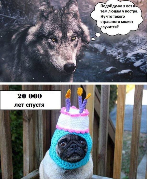 Подойду-ка я вот тем людям у костра. Ну что такого страшного может случится? у 20 000 лет спустя