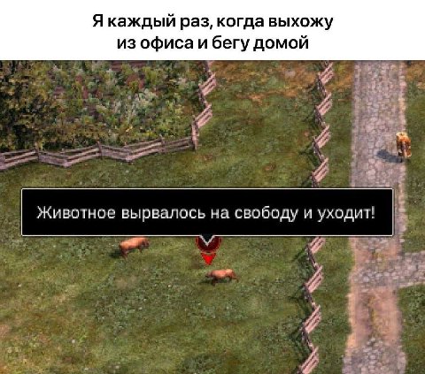 Я каждый раз, когда выхожу из офиса и бегу домой Животное вырвалось на свободу и уходит! у