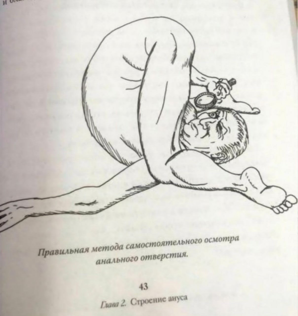 метода самостоятельного анального 2. Строение