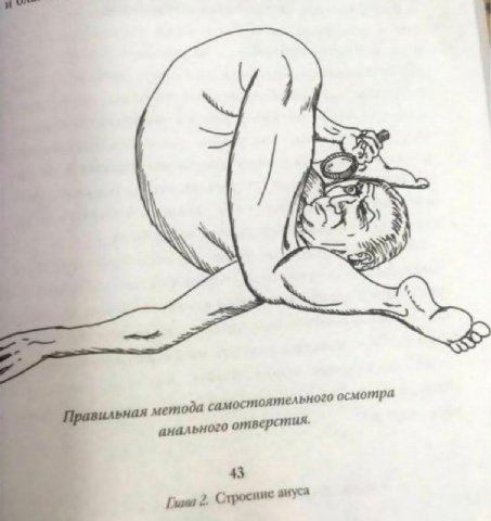 метода самостоятельного анального 2. Строение