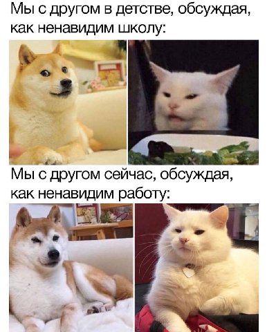 Мы с другом в детстве, обсуждая, как ненавидим школу: Мы с другом сейчас, обсуждая, как ненавидим работу: