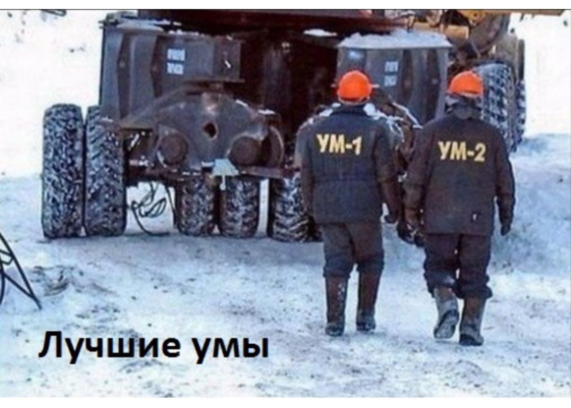 7 7 Лучшие умы