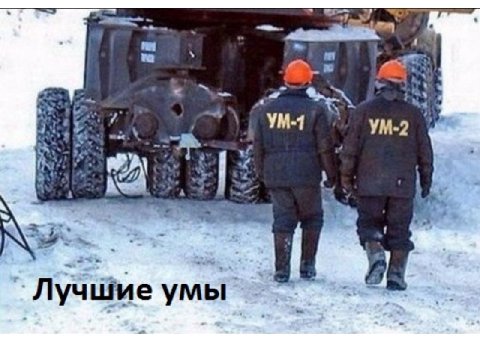 7 7 Лучшие умы