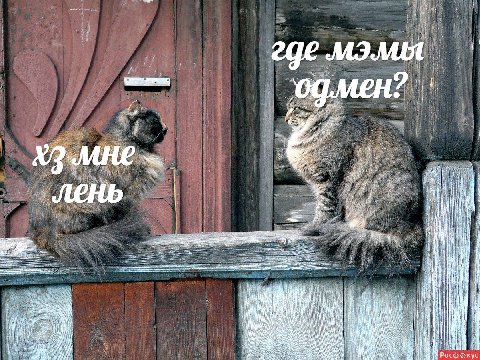 где мэлия i I