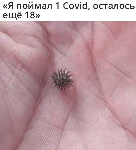 «Я поймал 1 Сома, осталось еще 18»