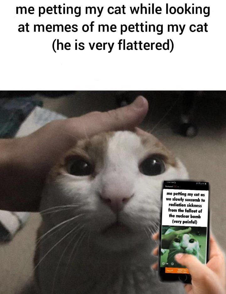 me petting my cat while looking at memes of me petting my cat (he is very flattered) we slowly succumb to me petting my cat as from the fallout of radiation sickness the bomb (very painful)