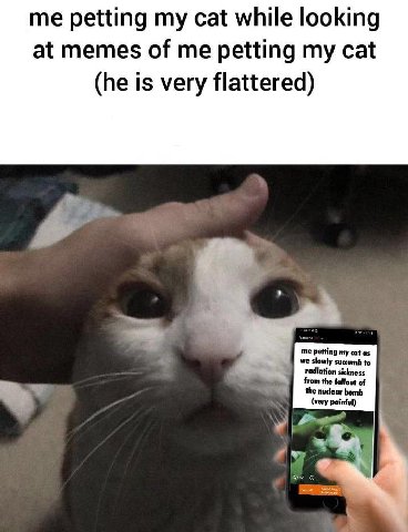 me petting my cat while looking at memes of me petting my cat (he is very flattered) we slowly succumb to me petting my cat as from the fallout of radiation sickness the bomb (very painful)