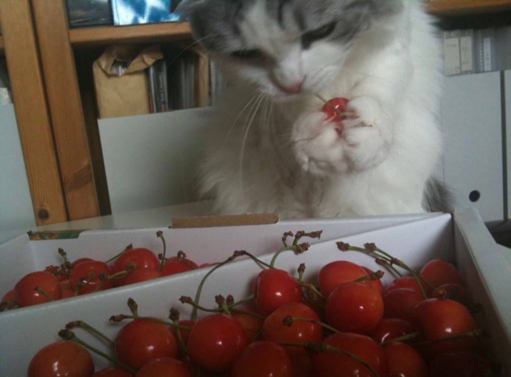 i С