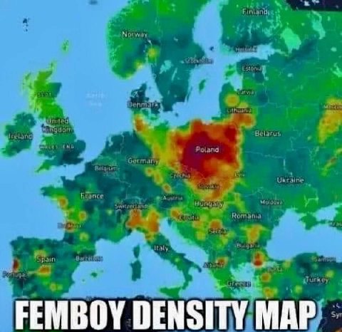 FEMBOY DENSITY МАР