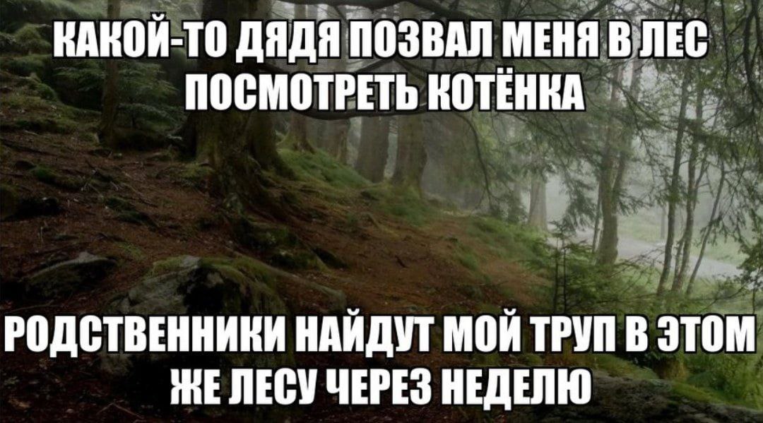 КАКОЙ-ТО ДЯДЯ ПОЗВАЛ МЕНЯ в ПОСМОТРЕТЬ КОТЕНКА РОДСТВЕННИКИ НАИДУТ МОИ ТРУП В ЭТОМ НЕЛЕСУ ЧЕРЕЗ НЕДЕЛЮ