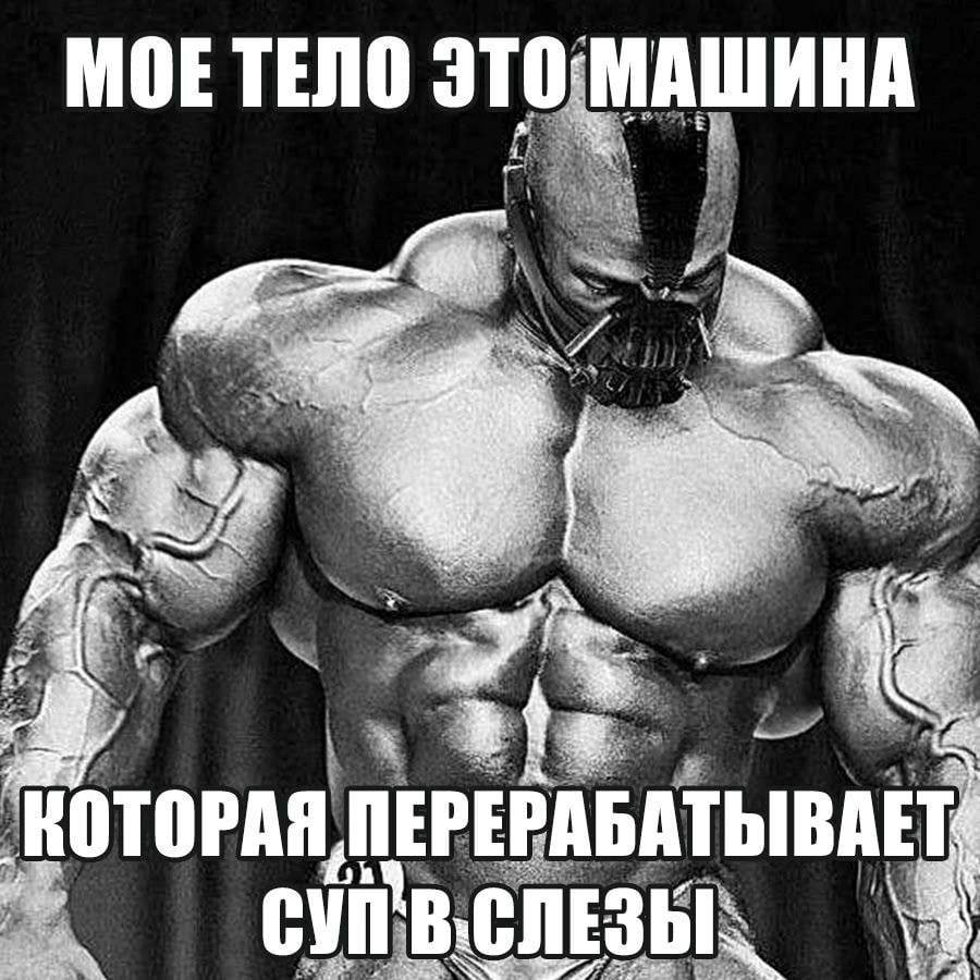 МОЕ ТЕЛО ТОРА ПЕР iCHE