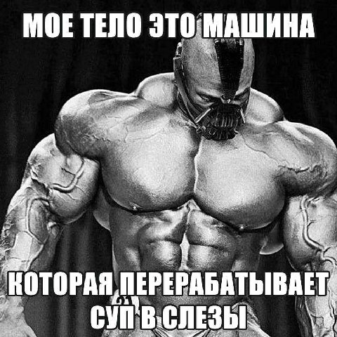 МОЕ ТЕЛО ТОРА ПЕР iCHE