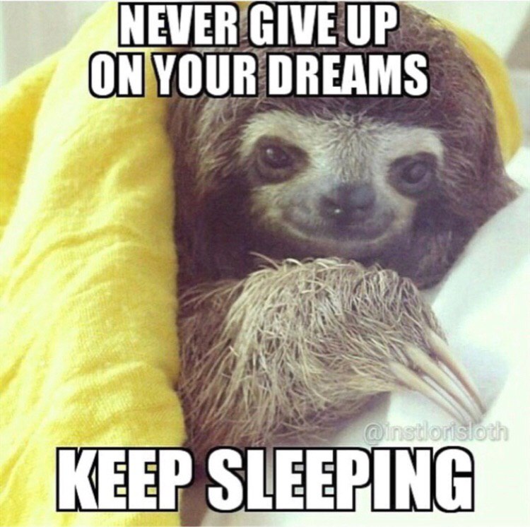 МЕМЕВ DREAMS у sua “as 4a KEEP SLEERING