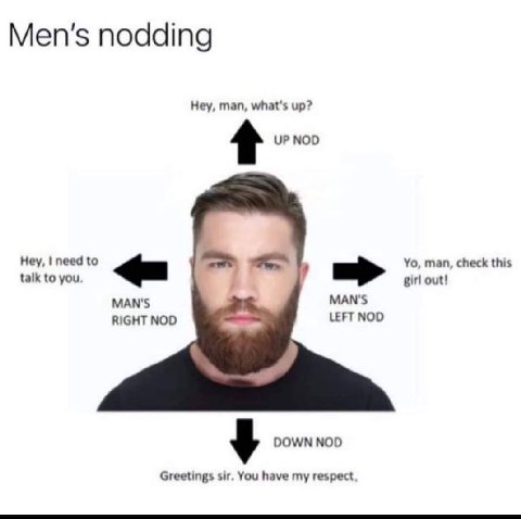 Men's nodding Hey, man, what's up? Hey, need to man, check this talk to you girl out! MAN'S MAN'S RIGHT NOD LEFT NOD DOWN NOD Greetings sir. You have my respect