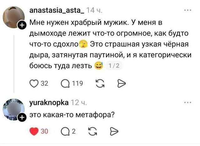 anastasia_asta_ Мне нужен храбрый мужик. У меня в дымоходе лежит что-то огромное, как будто что-то Это страшная узкая чёрная дыра, затянутая паутиной, и я категорически боюсь туда лезть 1/2 yuraknopka