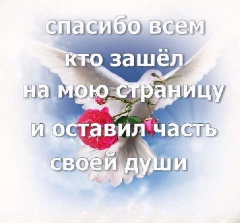 MOG с то зашел на ОСтавил' своей