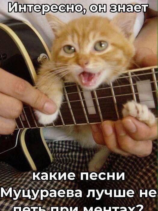 знает Интересно, о! какие песни Муцураева лучше не MATL