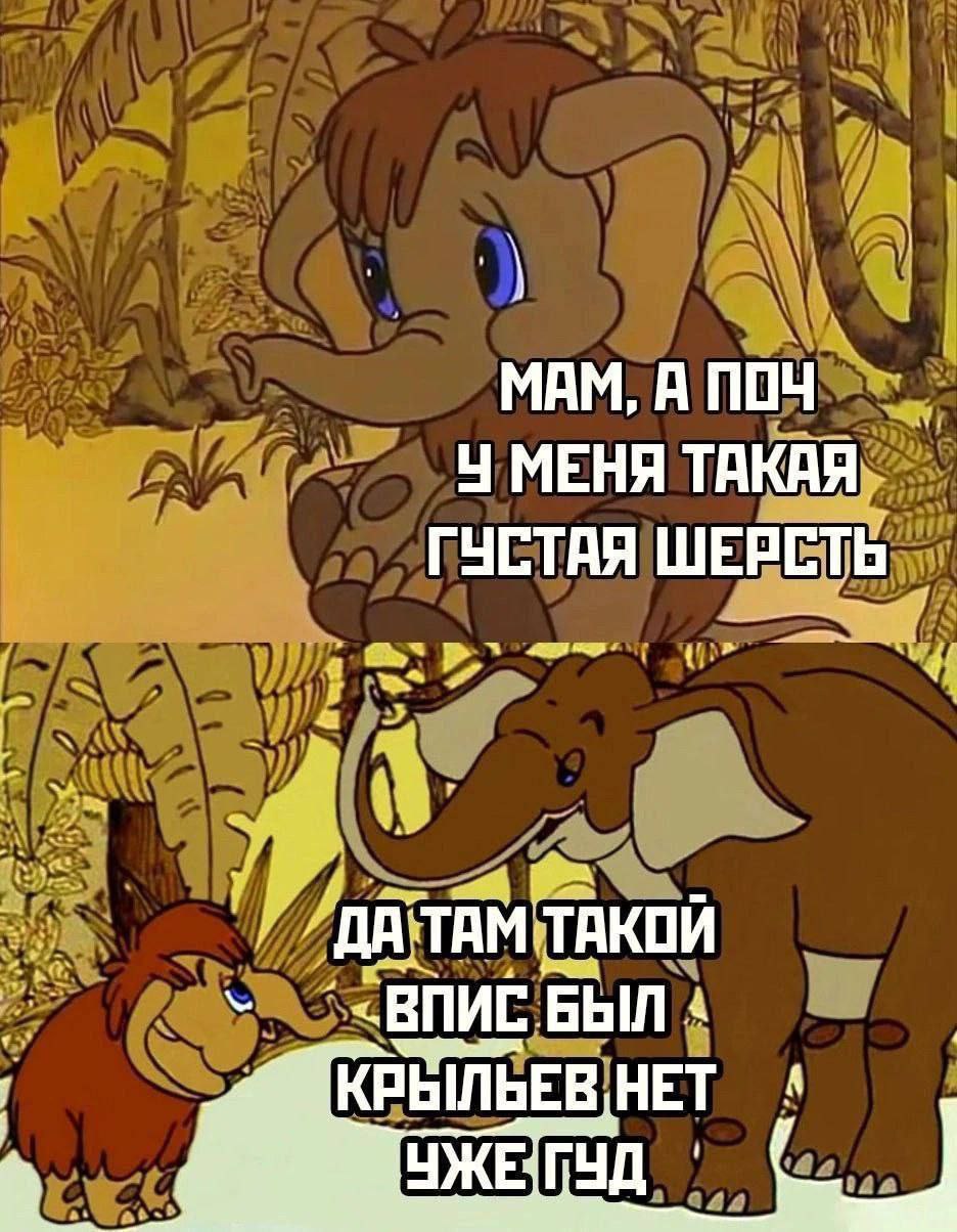 MAM, А ПОЧ У МЕНЯ ТАКАЯ ГУСТАЯ ШЕРСТЬ TAM. ТАКОЙ БЫЛ КРЫЛЬЕВ НЕТ A
