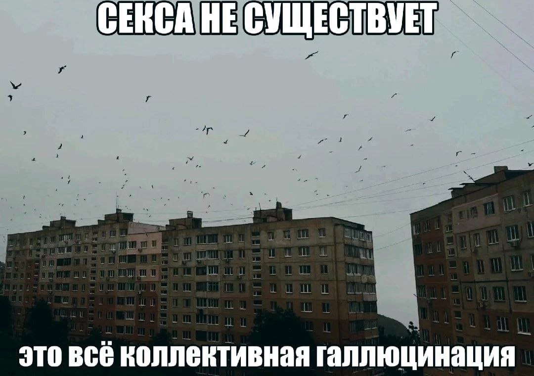 CERCA НЕ СУЩЕСТВУЕТ это всё коллективная галлюцинация