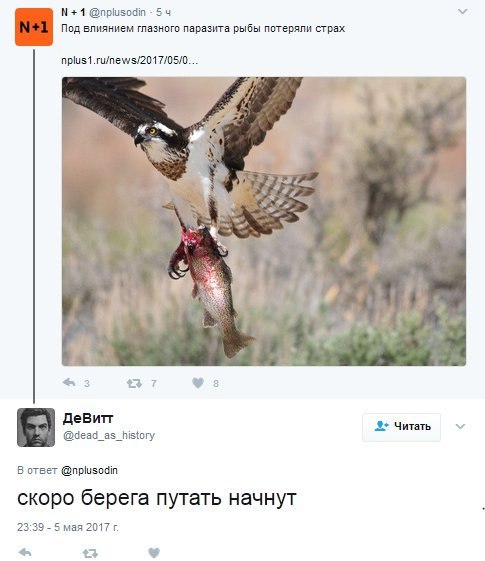 1 @nplusodin 54 Под влиянием глазного паразита рыбы потеряли страх nplus1.ru/news/2017/05/0... 3 3 #3 7 ДеВитт 3> Читать @dead_as_history В ответ @nplusodin скоро берега путать начнут 23:39 мая 2017