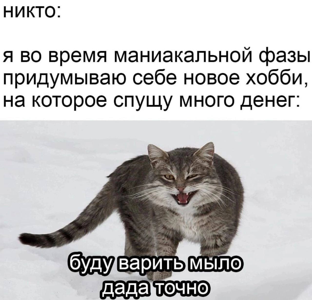 Никто: я во время маниакальной фазы придумываю себе новое хобби, на которое спущу много денег: мыло дада\точно