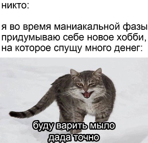 Никто: я во время маниакальной фазы придумываю себе новое хобби, на которое спущу много денег: мыло дада\точно