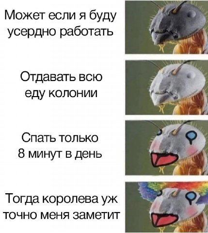 Может если я буду усердно работать Отдавать всю еду колонии Спать только 8 минут в день Тогда королева точно меня заметит