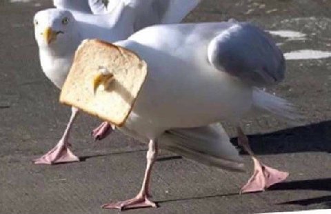 Я