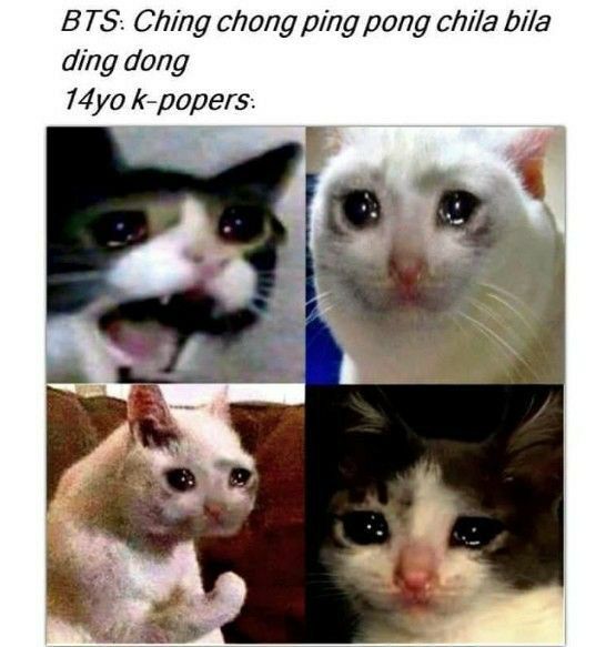 BTS: Ching chong ping pong chila bila ding dong k-popers. вы