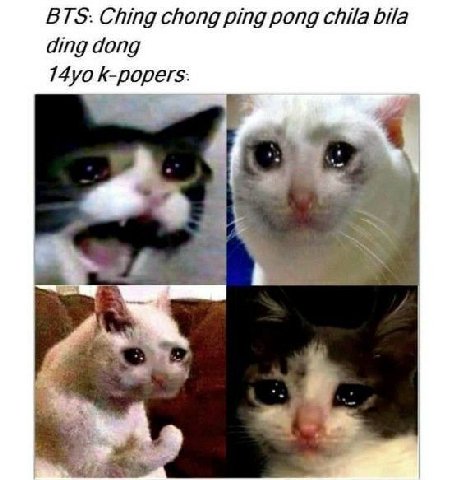 BTS: Ching chong ping pong chila bila ding dong k-popers. вы