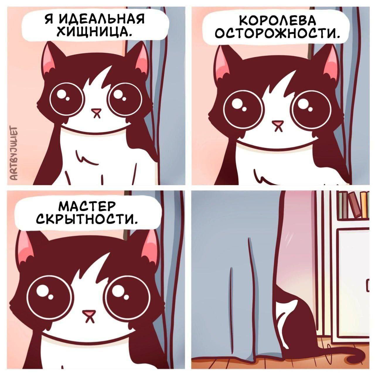 Я ИДЕАЛЬНАЯ КОРОЛЕВА ХИЩНИЦА. ОСТОРОЖНОСТИ. МАСТЕР СКРЫТНОСТИ. An