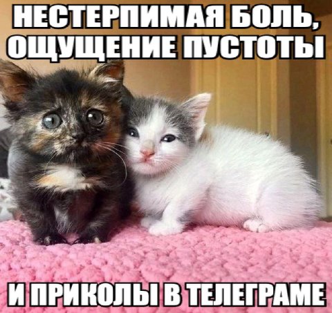 НЕСТЕРПИМАЯ БОЛЬ, ОЩУЩЕНИЕ ПУСТОТЫ и И ПРИКОЛЫ В ТЕЛЕГРАМЕ