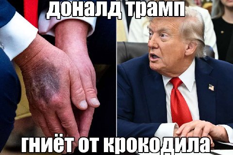 гниёт от