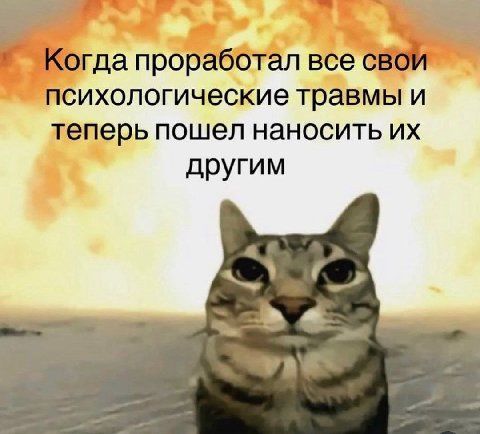 проработал все свои психологические травмы и теперь пошел наносить другим