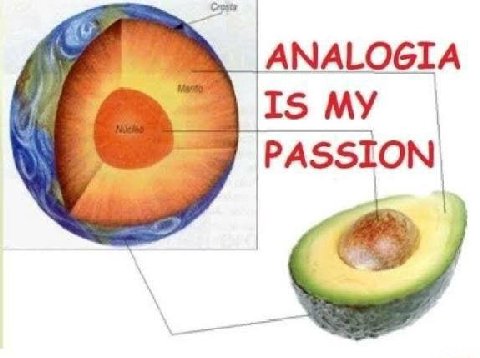 ANALOGIA Is MY PASSION