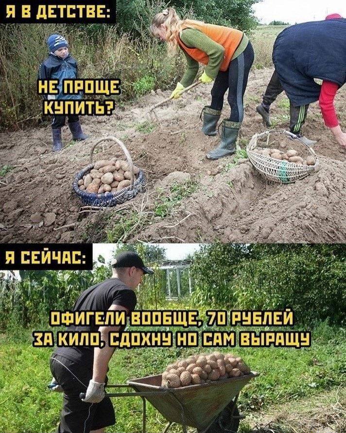 Я В ДЕТСТВЕ НЕУПРОЩЕ: КУПИТЬ aN a3 My, a 3 A я СЕЙЧАС: Я a eee wal ВООБЩЕ 70 РУБЛЕЙ САМ КИЛО НО ВЫРАЩУ 16