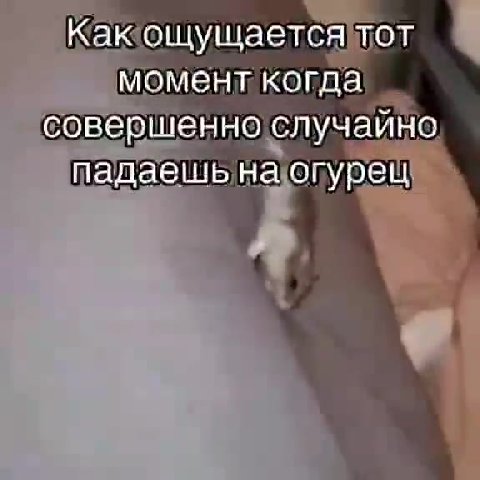 Какощущаелсяитоль совершеннослузчайно Какошущаетсятот момент когда совершенно случайно Какощущаелсятоль падаешь на < Какощущаетсятог падаешьна‘опурещ