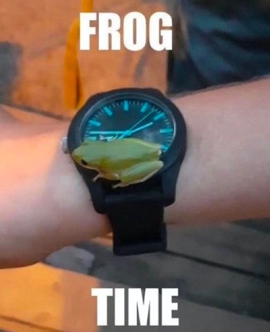 FROG TIME