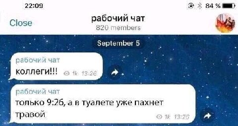 22:09 84% абочий чат Close Ney 820 members рабочий чат Konneru!!! рабочий чат только 9:26, а в туалете уже пахнет травой