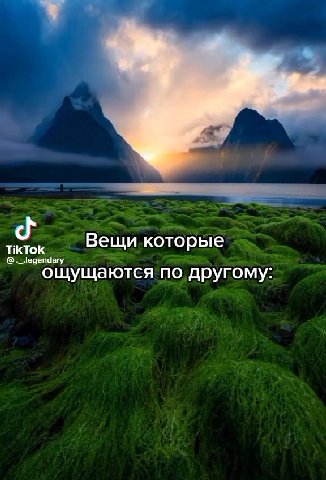 ThkTok Вещи которые > ощущаются по другому: `‚ захохел срать’в 4 x& автобусе" = забыл г@ндон:азуже ; разделся