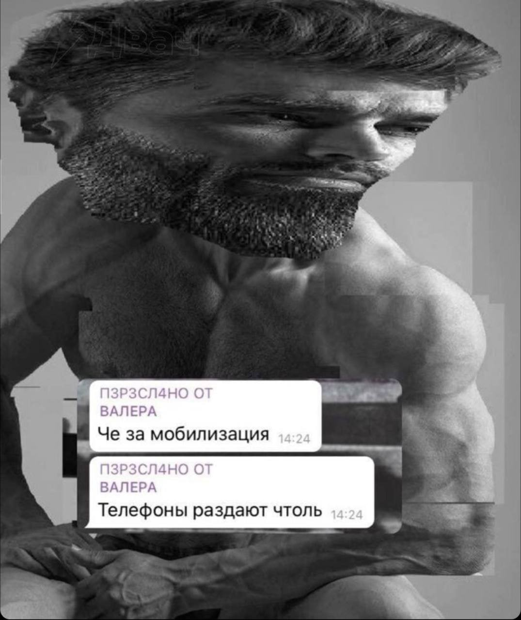 ПЗРЗСЛАНО ОТ ВАЛЕРА Че за мобилизация 14:24 ПЗРЗСЛАНО ОТ Телефоны раздают чтоль