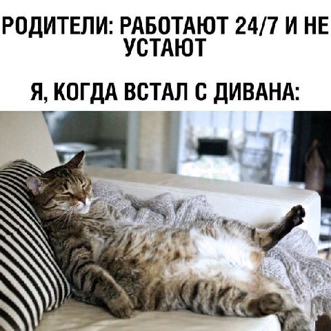 РОДИТЕЛИ: РАБОТАЮТ 24/7 И НЕ УСТАЮТ Я, КОГДА ВСТАЛ С ДИВАНА: