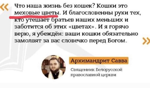 <4 Что наша жизнь без кошек? Кошки это еховые цветы. И благословенны руки тех, утешает оратьев наших меньших и заботится об этих «цветах». И я горячо верю, я убеждён: ваши кошки обязательно замолвят з