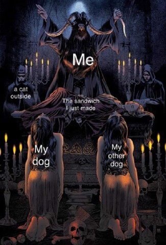Me My